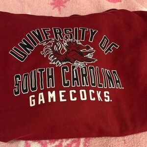 Gamecocks Champion hoodie